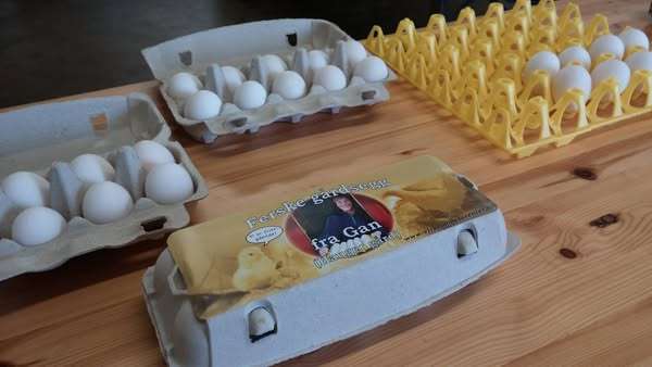 Egg pakket i kartonger fra Hauger gård